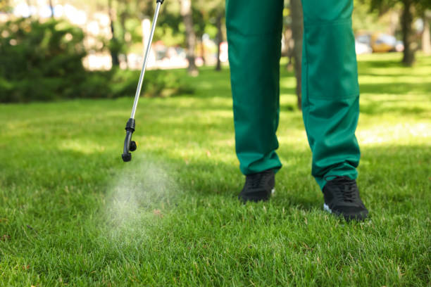 Best Insect Control  in Walnut Grove, GA