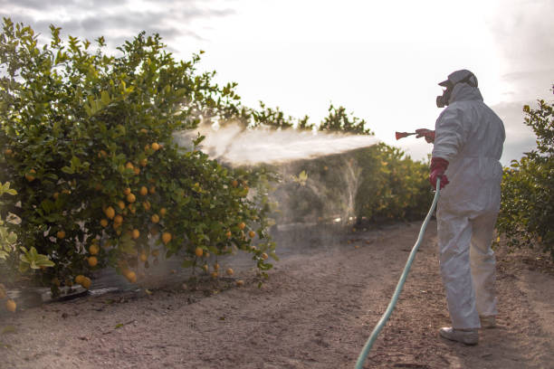 Best Commercial Pest Control Services  in Walnut Grove, GA