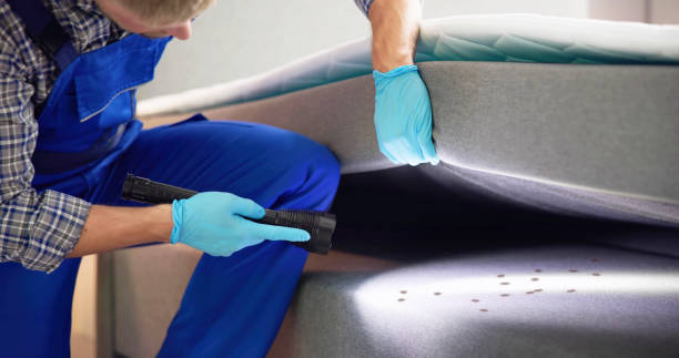 Best Best Pest Control Companies  in Walnut Grove, GA