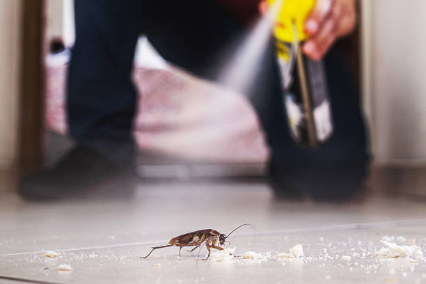 Best Wasp Removal Services  in Walnut Grove, GA